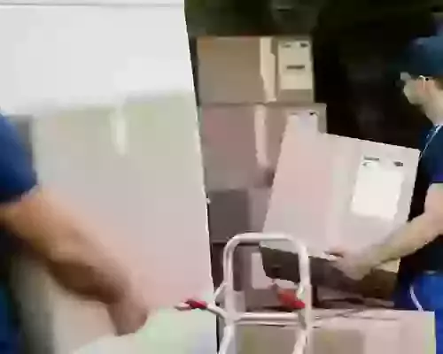 Navigating Expiry and Batch Tracking: Essential Tips for Pet and Vitamin Vendors